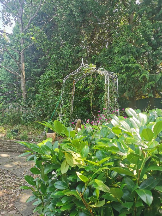 Appartamento Peaceful Retreat Hideaway Surrey Esher Esterno foto